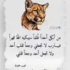 user7186787906008