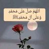 user12117479408046