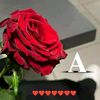 user3130819729426