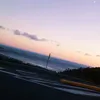 pedro_10008