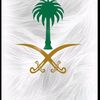 user7320066162024