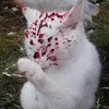 kvrkuma
