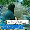 user20037754161