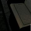user951141510822