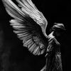 angel_your73