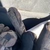 camouflagegloveman