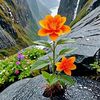 hamidullah6785