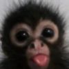 jaybwildz