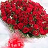 user8167887733388