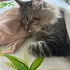 mamka_rozenberg