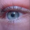 userr.miaa.1