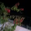 you11110000000000000