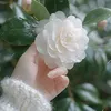 daya.gian303
