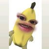 dinaa_kystts