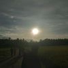 tallo_47