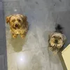 .sunny_and_charlie