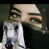 xili_3051