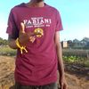 mashamba475