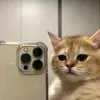 cat455730