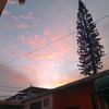 ycd_151411