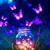 .lover.of.flowers7
