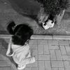 roaa_hatem_
