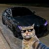 ahamed.elhamamsy
