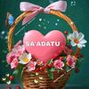 saadatusalesalis