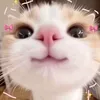 imsimpyou