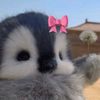 fofyarce0