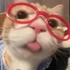 missanhh_2