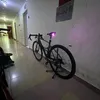 naococoinodoiten
