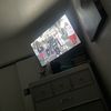moneysignsuede0010