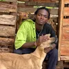 albertcatsanddogslover0