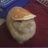 mr_pancake201229