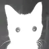 ssoulx_6