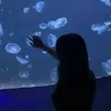 y_lgt2