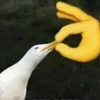 tuynlit