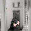 cellz128
