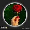 nabihussain123