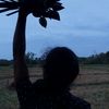 nethu_1106