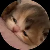 _bong.bot.iu_