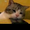 fadli.rofif1
