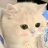 miuiu_009
