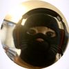 nabil____260