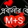 mayabipori979