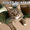 fizma65