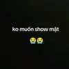 phm.vn.tnh725