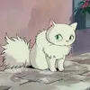 miyu_1145