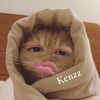 soun.kimsor